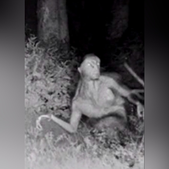 Hiiii…Welcome to my closet!!!! - Picture 16 of 16